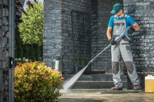 Animal Enclosure Cleaning in Perezville, TX